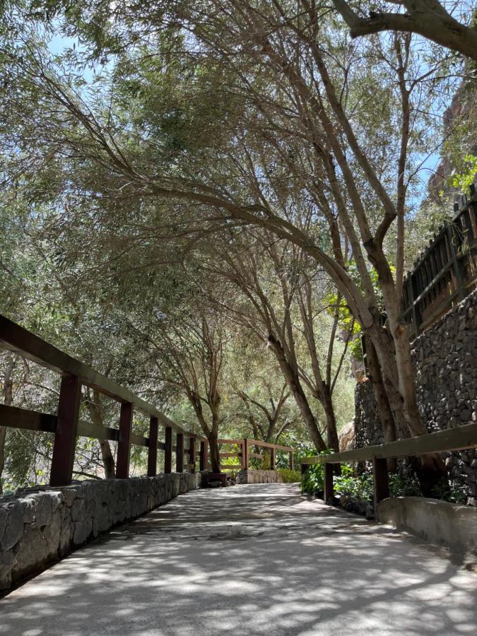 אינחניו Casa Rural Guayadeque Ca'Juani מראה חיצוני תמונה